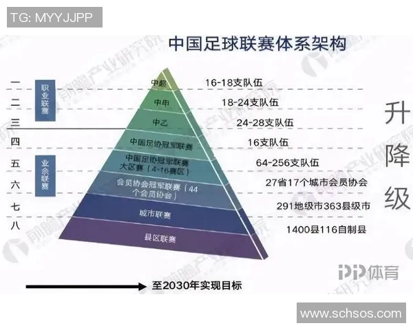 中国足球元老的辉煌历程与对中国足球未来发展的深远影响