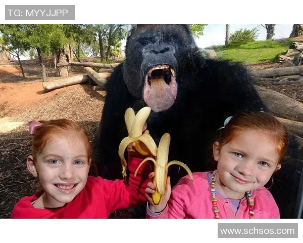 对口型足球明星有哪些他们的精彩瞬间与搞笑表演盘点