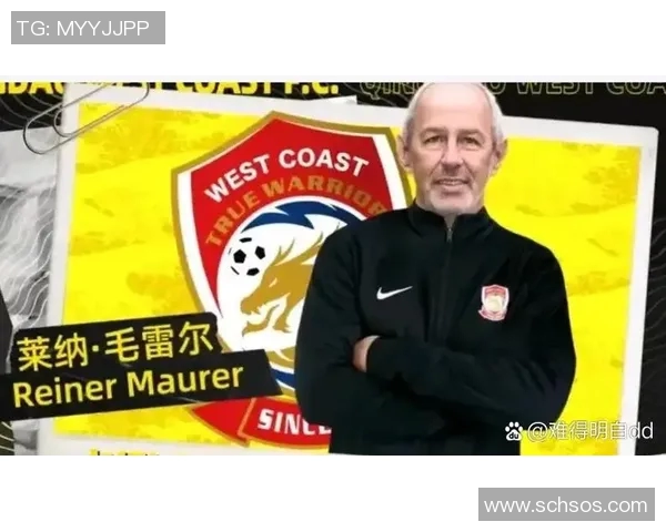 德国足球发展经验对中国足球崛起的启示与借鉴分析