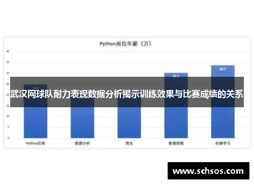 武汉网球队耐力表现数据分析揭示训练效果与比赛成绩的关系