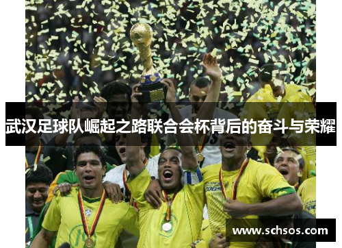 武汉足球队崛起之路联合会杯背后的奋斗与荣耀
